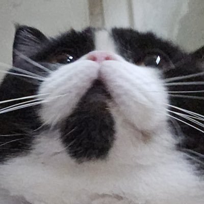 jaybyxmoon's profile picture. อยากเป็นสไปเดอร์แมน