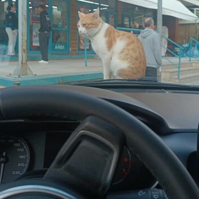 UfukM42218's profile picture. 