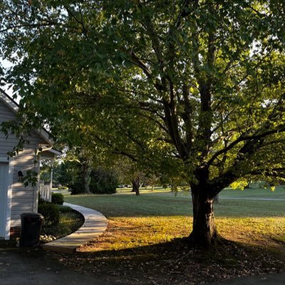 Rosemelissa234's profile picture. importation of sea 🌊 food 🍱, oil and Gas ⛽️ #NFL#NewYork#🏈#usa