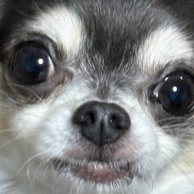 ryou40499911314's profile picture. ˶˙ᵕ˙ )ﾉﾞ