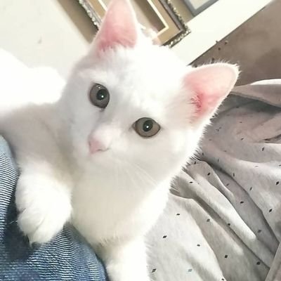 depressed_90's profile picture. Anime ❤️❤️||virgo!!!!
https://t.co/WnYAbihpoE