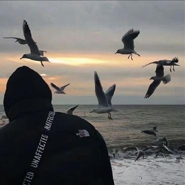 YGarbulhoC's profile picture. 26.182.71.1 喜欢旅游 健身 有点黑 一直想找个固定的0做老婆，合适可以私信约，#也可接金主订制门槛188 #附近同城年龄合适可约