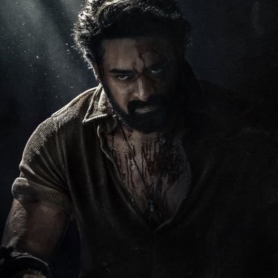 AvesSolo72718's profile picture. 