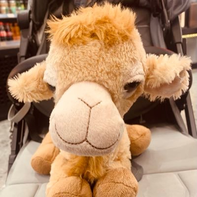 romfordnavy's profile picture. Born London                Lifelong Chelsea supporter