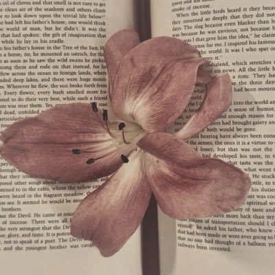 VelyraMIS's profile picture. 