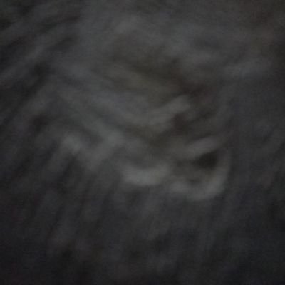 sastroparno's profile picture. ⛔️ DM