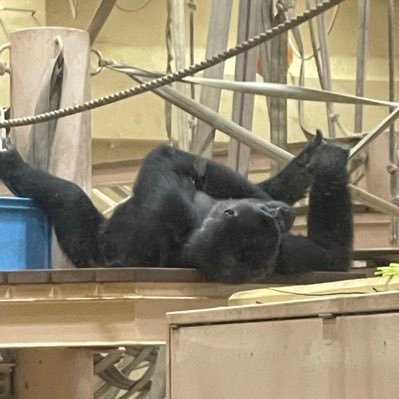 PUmGA5wQ6vunxvZ's profile picture. 薬学部6年/111回