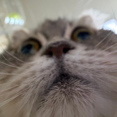 Rye_0258's profile picture. 🗝@Vermouth_Xyz