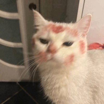 trappinnevadied's profile picture. pinkpantheress marine|R.I.P Don D🕊️|priv: @hoedisahburner