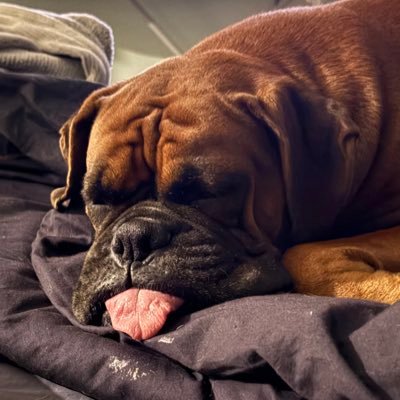 stratnut71's profile picture. Married, Conservative,Back the Blue, permaculture, beekeeper, music, free speech,Trump 2024.NODM’s