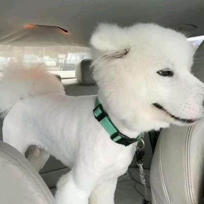 yaohyaoh11M's profile picture. seveteen,nct fan
🇸🇬🇯🇵🇹🇭🇭🇰