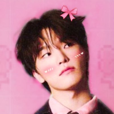 pixiechani's profile picture. dinonara first, human second | svt bts txt 5sos dnp 𖤐₊˚.