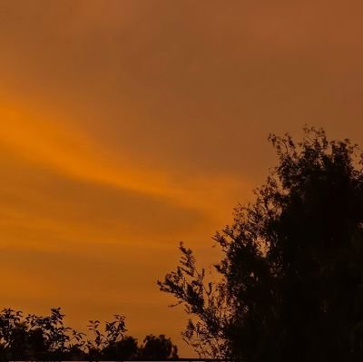 kb_sabo's profile picture. 