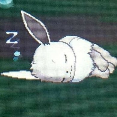 miniivns's profile picture. maybe i just got brain lag did u ever think of that