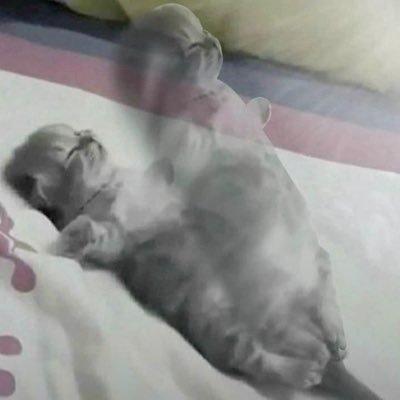 BanVvtMdDB8LQj3's profile picture. 18歳 ・絵を描くのが好きなので色々描きます。だいぶ絵柄変わります。FNAFとかアニメ、洋画、ARCANEも好き。The Gaslight District、 The Black Phone👍 osmosis jones、最近ninahハマったぜ(?)