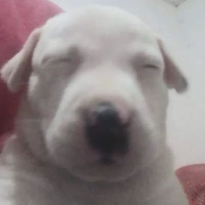 hartztuna's profile picture. 