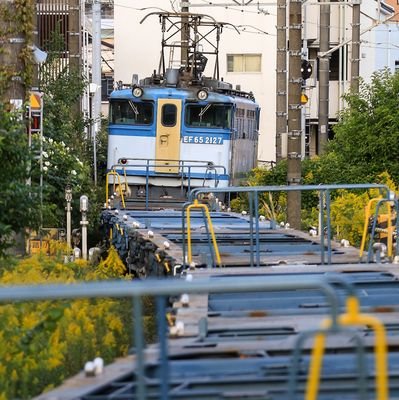 U_LR232J's profile picture. 電車。ラーメン。近場ちかばでチョロチョロやってます。広く浅く。バスはこちら↓