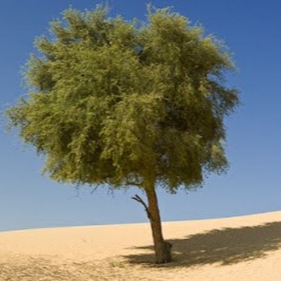 Vj_maanju's profile picture. 