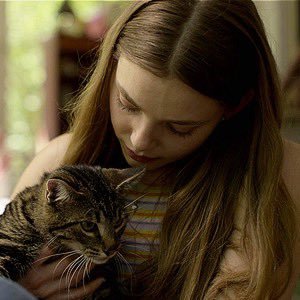 bevllisario's profile picture. polivia and peterose pr manager • sometimes you have to accept, not every caterpillar becomes a butterfly. C.D.V.D.C.L(ele💌) • 🇵🇸