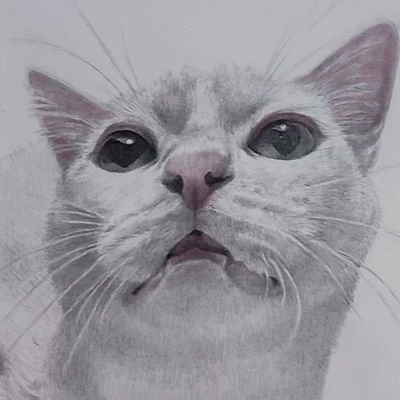 SAQ_pencil's profile picture. 鉛筆画家。
2021年、作家名を変更いたしました。『さく』かきゅーちゃんで呼んでくれると嬉しいです☺
動物画、人物画を得意としています。
オーダー承ります。お気軽にお問い合わせくださいませ。