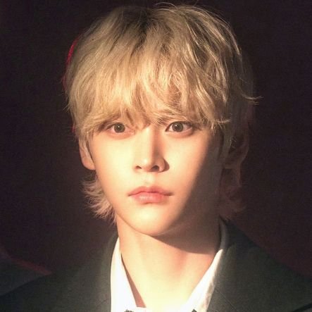 sestone0319's profile picture. 