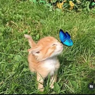 tremble_null's profile picture. 