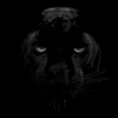 PapaEkowGh's profile picture. 🇬🇭-Ba 💯 |🦓 | Positive Vibes Only!