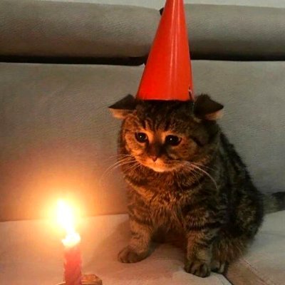 Becoxx's profile picture. Biz de birileriyiz