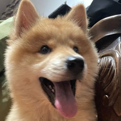 Guenneses02's profile picture. 明天吃什么