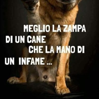 Raffaele167780's profile picture. 