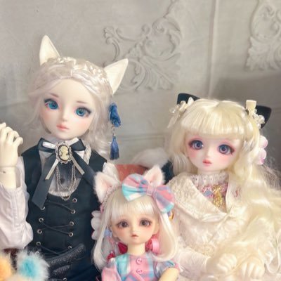 kamitsure_nui's profile picture. ドール初心者兼審神者 🇯🇵20↑♀︎/MDD、SDM、幼天使、幼SD、DearSD、SD13精霊、Tinyfoxのオーナー とうらぶ垢→(@astal_naeri)