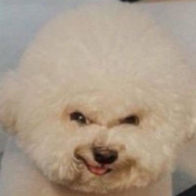 Waffle_XBT's profile picture. Ventura Capital LLC