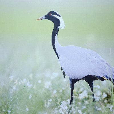 xlr830488386796's profile picture. 互fo