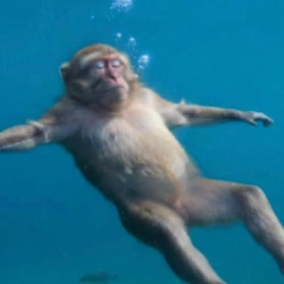 HIROoCs's profile picture. Groom CFX FX COMPO ARTIST