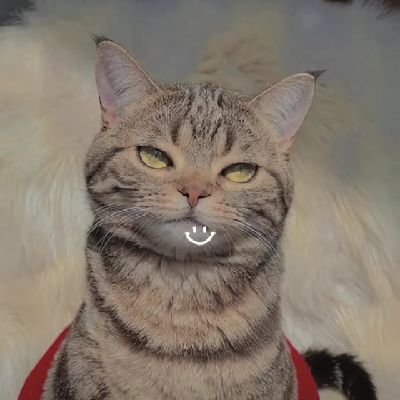 tasogaredokiCPA's profile picture. CPA by May 2026🤞✨