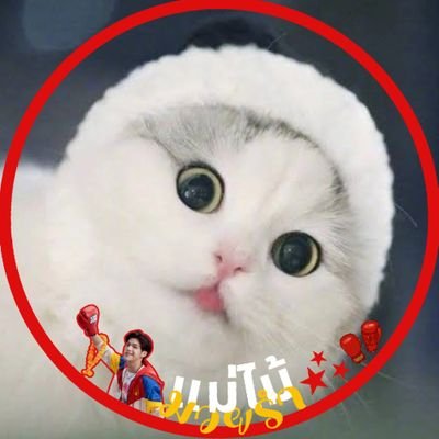 MDLUVBWU's profile picture. May you be an exception to the cliché that nothing lasts forever 🤍/ fan acc.