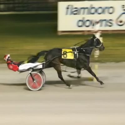 Rickrier68's profile picture. Dad to three great kids! Husband to a great wife! Standardbred horse owner, announcer and fan. Golfer. Sales at Huron Tractor John Deere in Walkerton ON.