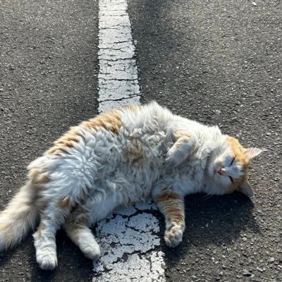 pubgrenkeix's profile picture. pbw▶︎stk▶︎吐皿会▶︎rwe▶︎引退 iPhone16𝐏𝐫𝐨 久しぶりにPUBG入れてやってます！良かったら仲良くしてください！