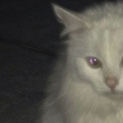 vampfaz's profile picture. ♥︎01 ───ㅤㅤㅤㅤ 𝘀𝘂𝗻 ㅤ:ㅤㅤtheㅤ mostㅤ beautifulㅤ and ㅤperfectㅤ sunㅤ I ㅤhave ㅤever ㅤknown ͏ ͏ ͏ ͏ ͏ ͏ ͏ ͏ ͏ ͏ ͏ ͏ ͏ ͏ ͏ ͏ ͏͏ ͏ ͏ ͏ ͏