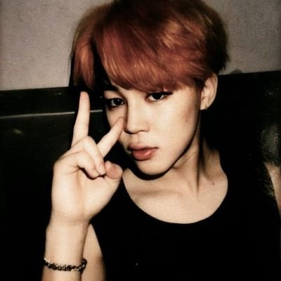 hotter_thanher's profile picture. just a gay gorilla who's in love with 7 normal boys from Korea
