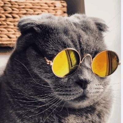 saugatd99's profile picture. Lifelong learner fueled by music, coffee, and code.