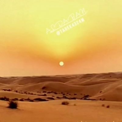 MN__009's profile picture. ولا كُل ما مّر لك يا العبد ينرداء .. ✍🏻 #شيلات_محيسن_القوس