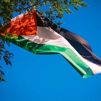 gazatears1's profile picture. A Palestinian, displaced by war, far from her home, with dreams shattered🇵🇸