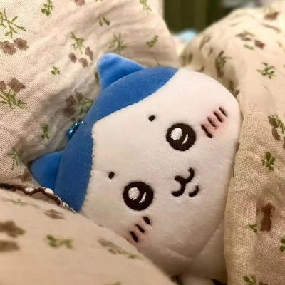 accmn4md's profile picture. ♡  𝖽𝖾𝗄𝟩𝟣 • 𝖽𝖾𝗄 𝗌𝗂𝗐 𝟨𝗑
𝗀𝗈𝖺𝗅: 𝗆𝖾𝖽  
𝖽𝗆 𝖺𝗇𝗒𝗍𝗂𝗆𝖾 𝟤𝟦/𝟩  ꒰ᐢ.ˬ.ᐢ꒱