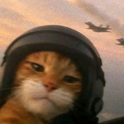 stanmasir's profile picture. sometimes i have negative IQ