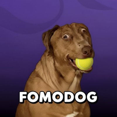 Fomodog_cn's profile picture. Join the chase, conquer time! FOMO DOG.Transform emotions into value, and beliefs into rewards.