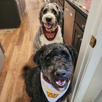 SkinCommand247's profile picture. #httc #raisehail 
The key to being a good manager or a good entrepreneur is to pick the right people. Pick the right people, and they'll make you look good. JG