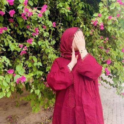 bibliophile__07's profile picture. 