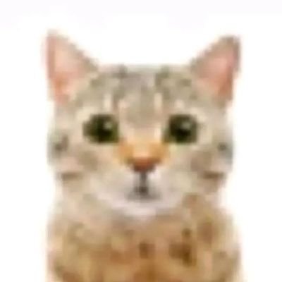 MFSillyDan's profile picture. Meus pensamentos todo dia até sobrar algo pro beta