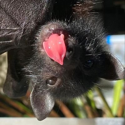 Zomq1e_z0mgUts's profile picture. 